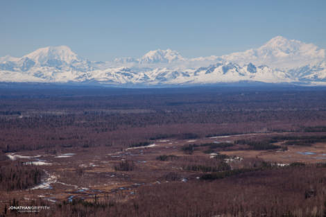 Taking off from Talkeetna..the big three: Foraker, Denali and Hunter