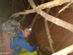 Ally combat hiking through huge stretches of dead forest